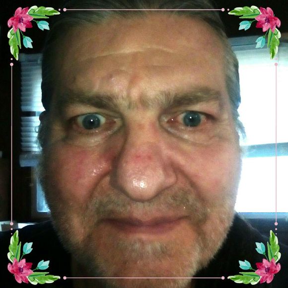 Meet your Posher, Taz - Picture 7 of 12